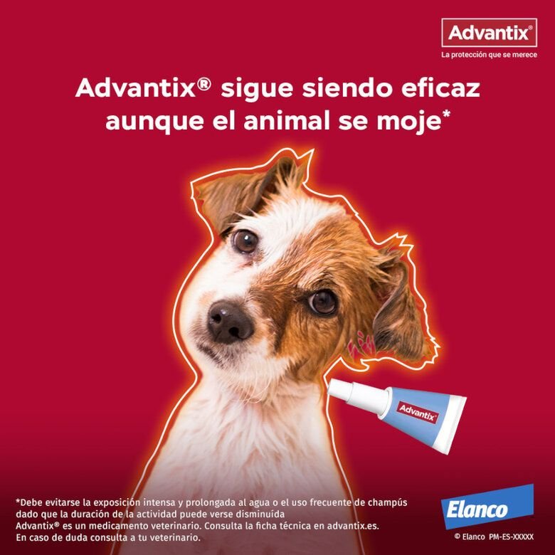 ADVANTIX PIPETAS ANTIPARASITARIAS - Imagen 3