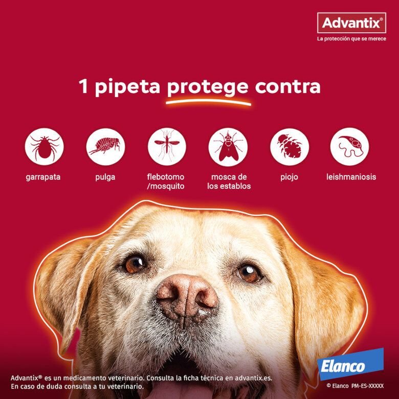 ADVANTIX PIPETAS ANTIPARASITARIAS - Imagen 4