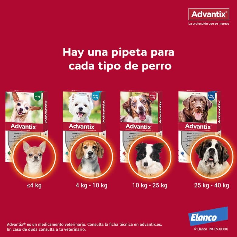 ADVANTIX PIPETAS ANTIPARASITARIAS - Imagen 5