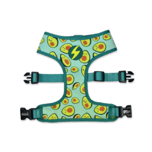 ARNÉS DASHI AGUACATE