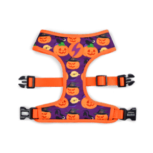 ARNÉS DASHI HALLOWEEN