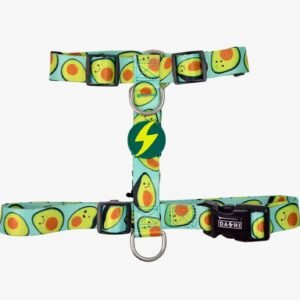 DASHI ARNÉS AGUACATE
