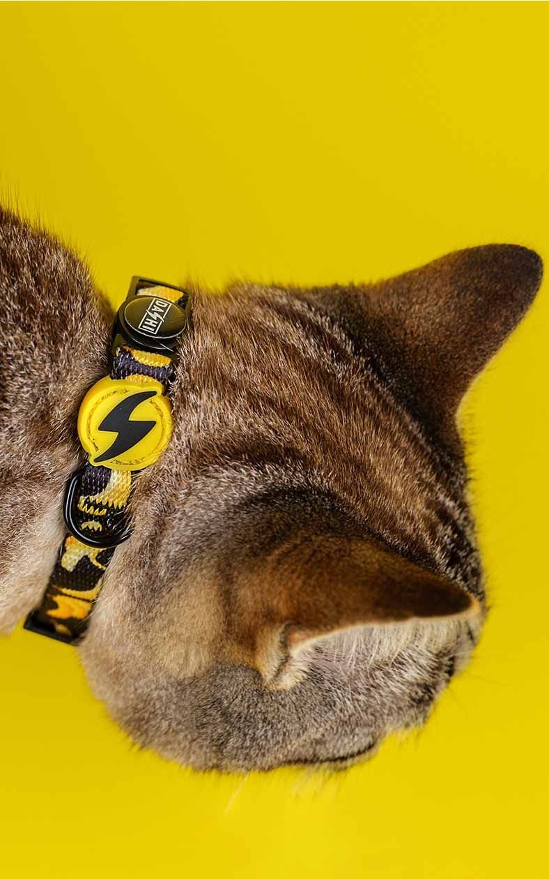 DASHI COLLAR GATO ECO BANANAS - Imagen 2