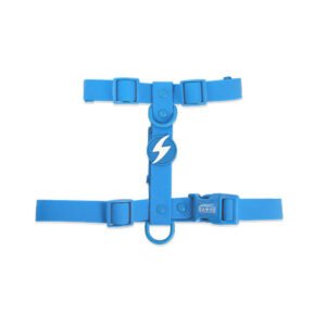 DASHI COLORFLEX ARNÉS TPU AZUL