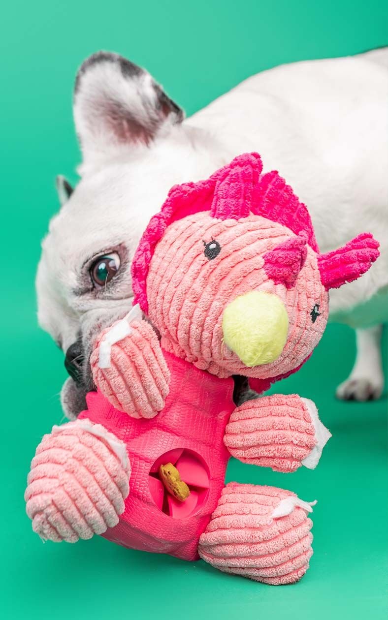 DASHI TOYS DINO TRICI