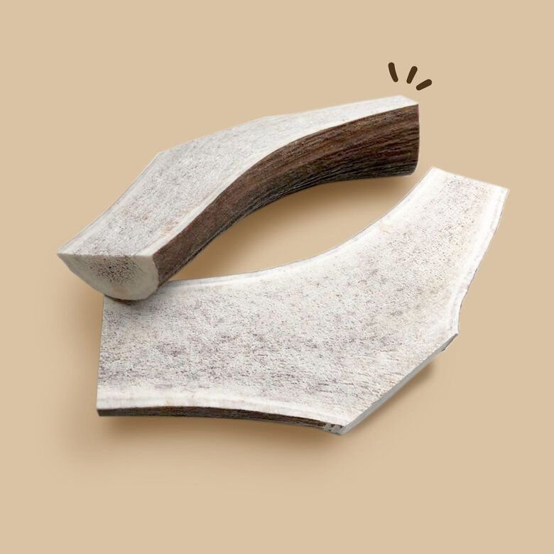 MAIKAI ASTA DE CIERVO PARTIDA T:M - Imagen 2