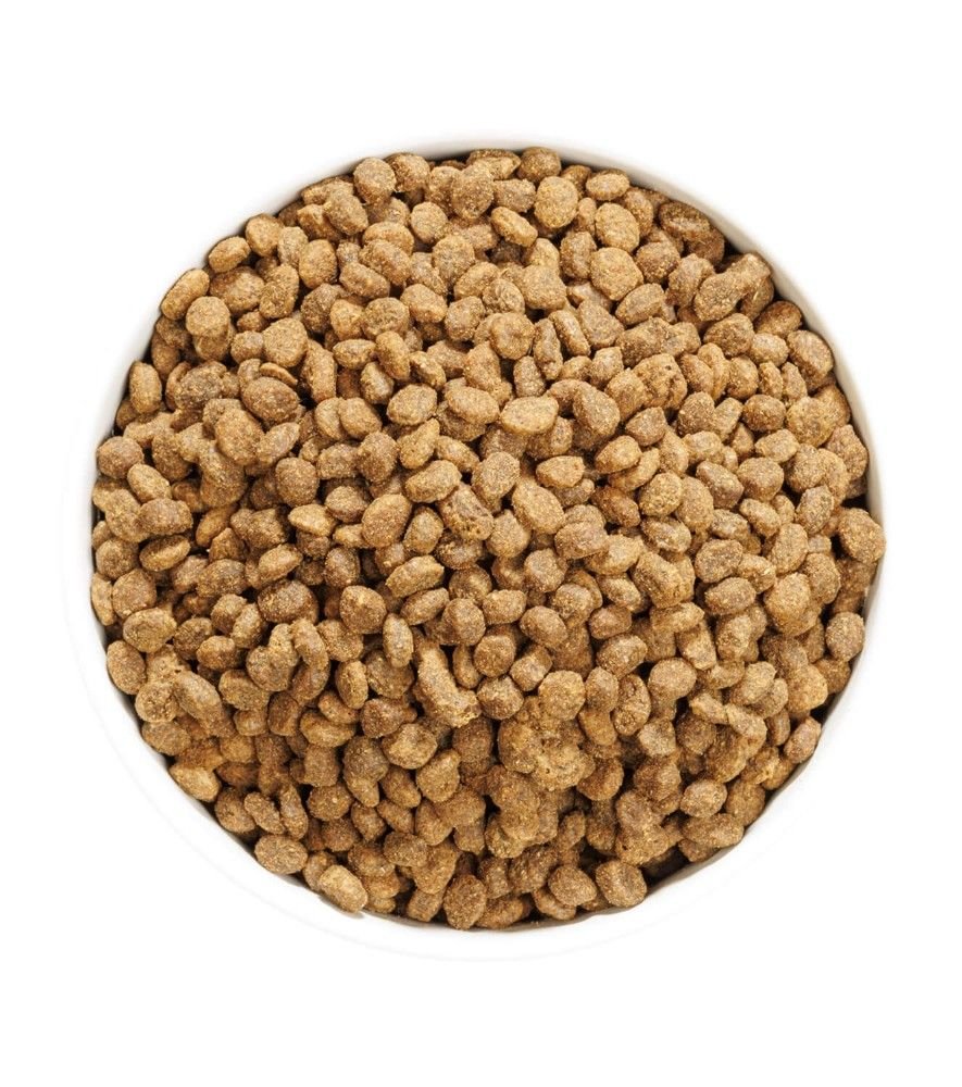 OWNAT AUTHOR ESTERILIZADO POLLO FRESCO - Imagen 3