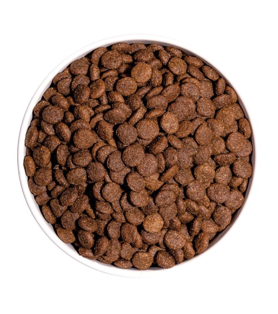 OWNAT CLASSIC ADULTO MINI - Imagen 3