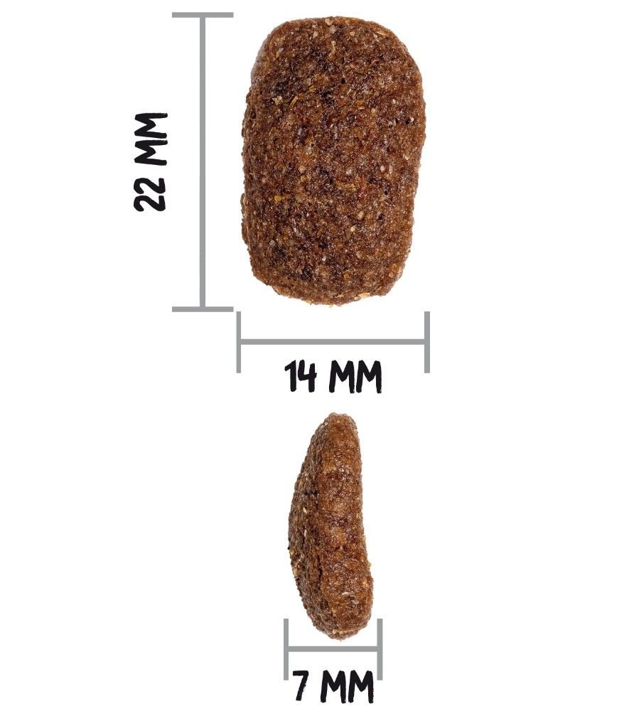 OWNAT CLASSIC COMPLET - Imagen 4