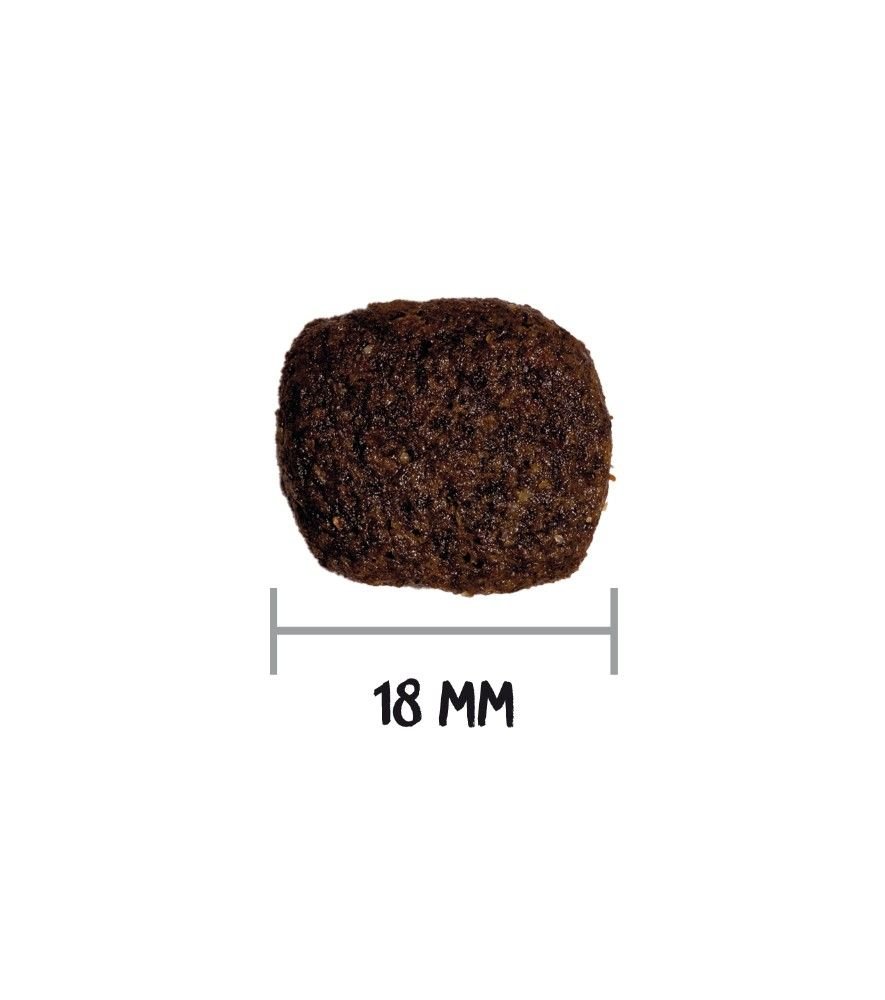 OWNAT GRAIN FREE HIPOALERGÉNICO CORDERO - Imagen 4