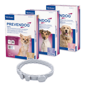 PREVENDOG