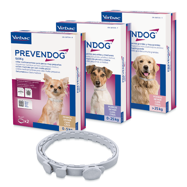 PREVENDOG
