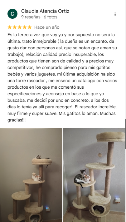 Captura de pantalla 2026-01-12 104240