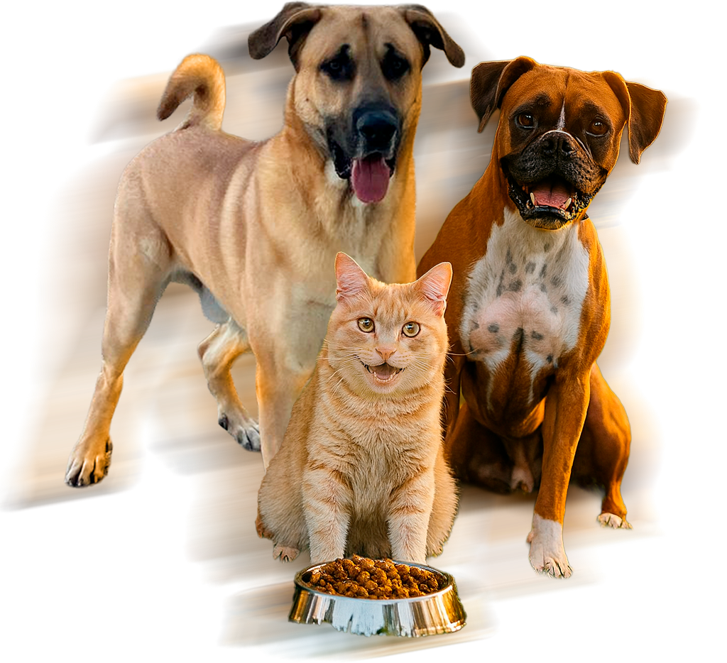 Kenzo, Khalifa y Káiser